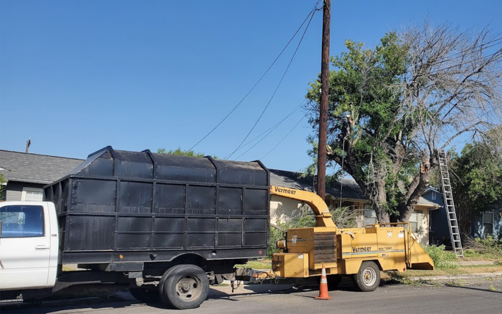 Signature Tree Service