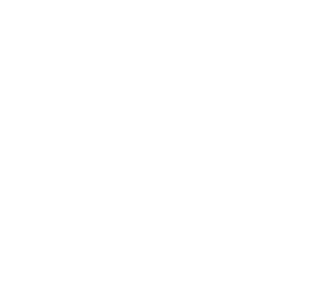 Signature Tree Service